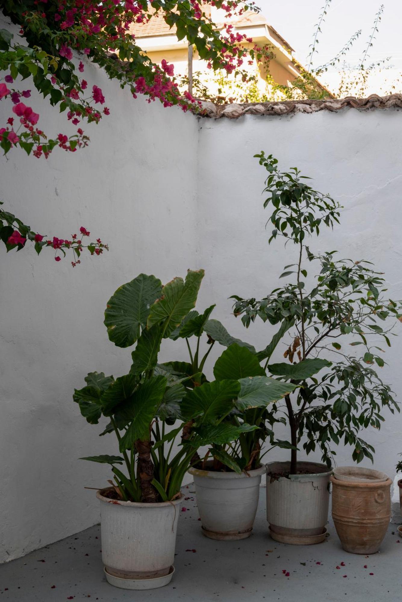 Thissio Getaway 2Ba Next To Athens Ancient Market Exteriör bild